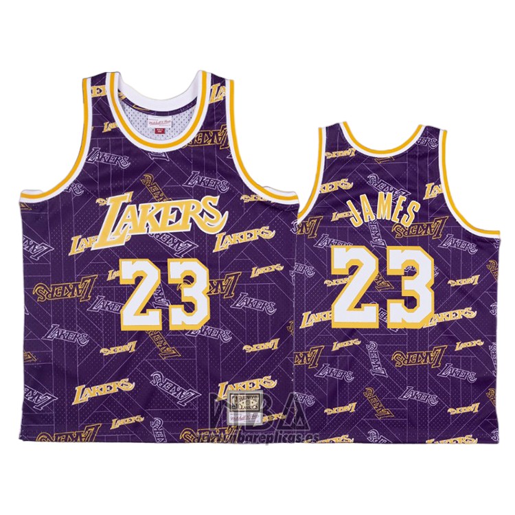 Camiseta Los Angeles Lakers Lebron James NO 23 Hardwood Classics Tear Up Pack Violeta